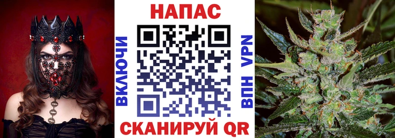 Каннабис SATIVA & INDICA  нарко площадка какой сайт  Сураж  как найти закладки 
